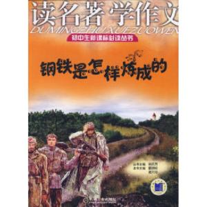 正版新书]读名著学作文钢铁是怎样炼成的雷明初 谢大中 本书9787