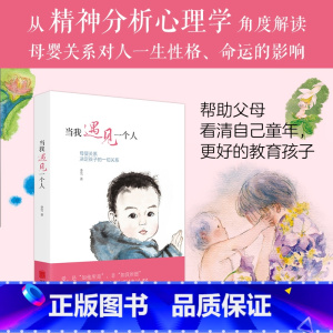 [正版]磨铁图书当我遇见一个人 李雪书籍 李雪的书 磨铁 书籍 家庭育儿 亲子关系儿童早教有限责任家庭 走出剧情书
