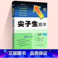 数学:人教版 六年级下 [正版]2024春尖子生题库二三年级四五年级六一年级上下册数学语文人教北师大西师版一课一练课堂同