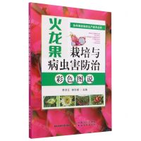 [N]火龙果栽培与病虫害防治彩色图说/热带果树高效生产技术丛书-9787109306271