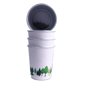 风之晨曦 FZCX-10 10只/筒 一次性茶杯带茶叶隐茶纸杯杯茶 红茶、绿茶可选 绿茶