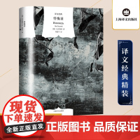 忏悔录 [俄]托尔斯泰 著 译文经典 邓蜀平 译 关于人类信仰的永恒思考 上海译文出版社 正版