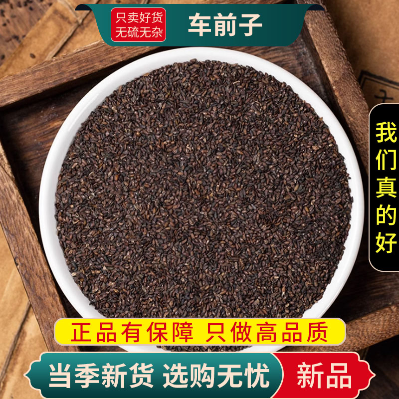 车前子100克干货正品新货车前实耳朵穗子壳车前子籽9260