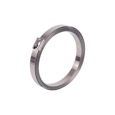 斯赞 304不锈钢扎带自锁式捆绑扎带 10*1000mm 根