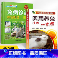 [正版]全2册农业专家大讲堂系列--实用养兔技术一本通+兔病诊治原色图谱养兔技术大全养殖技术书肉兔科学养殖书籍农业
