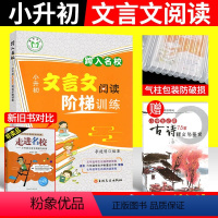 [正版]跨入走进名校小升初文言文阅读阶梯训练 五六年级小学文言文阅读与训练考试真题练习语文小升初阅读理解专项训练书 成