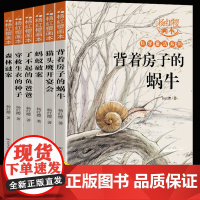 杨红樱科学童话系列画本 全6册 小学生三四五六年级课外阅读书籍老师9-12岁科学故事书童话画本经典书目背着房子的蜗牛