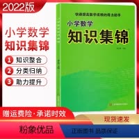 [正版]2022版 小学数学知识集锦通用版 小学数学知识大全 小学数学资料包 快速提高数学成绩的得力助手123456年