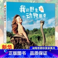 我的野生动物朋友(全新完整版) [正版]一粒种子的旅行绘本 7-12岁小学生课外阅读书籍青少年儿童文学儿童精装故事爱心树