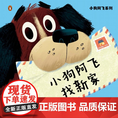 小狗阿飞系列-小狗阿飞找新家