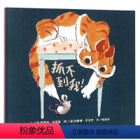 单本全册 [正版]信谊图书抓不到我!0-3-6周岁幼儿园儿童绘本幼儿故事书宝宝启蒙绘本图画书幼儿园绘本早教书儿童读物图画
