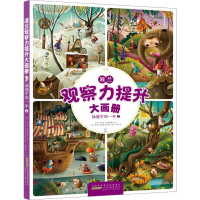音像波兰观察力提升大画册 仙境中的一年 2