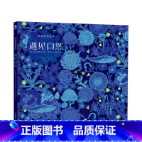 [正版]遇见自然 视觉发现绘本 3-6岁 精装绘本发现诗意自然游戏探索自然 提升幼儿专注力想象力亲子互动