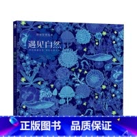 [正版]遇见自然 视觉发现绘本 3-6岁 精装绘本发现诗意自然游戏探索自然 提升幼儿专注力想象力亲子互动