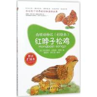 正版新书]红脖子松鸡(拼音扩展本)欧内斯特·汤普森·西顿978751