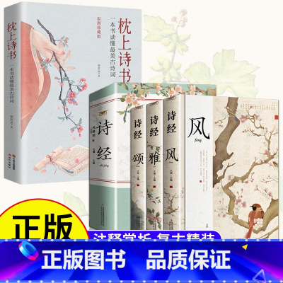 [4册]诗经风雅颂+枕上诗书 [正版]4册诗经风雅颂+枕上诗书一本书读懂古诗词 原文注释译文 中国古诗词歌赋诗经楚辞典大
