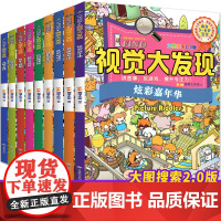 视觉大发现全9册 儿童专注力思维训练游戏书籍 找不同儿童迷宫图书益智力视觉大发现儿童益智书籍