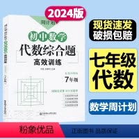 代数综合题[数学] 七年级/初中一年级 [正版]周计划初中数学计算题几何综合题代数综合题训练7七年级上下册思维数学练习题