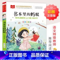 书本里的蚂蚁 [正版]书本里的蚂蚁王一梅童话系列彩图注音版小学生一二年级课外阅读书籍小学课外书老师幼儿园大班儿童名家作品