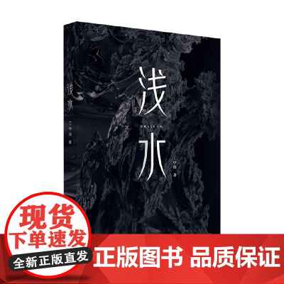 浅水 丁中冶 著 小说