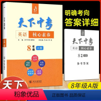 天下中考 八年级A版 初中通用 [正版]天下中考英语核心素养提升八年级A版册初中8年级英语阅读理解单项选择完形填空阅读理