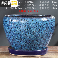 三维工匠花盆陶瓷大号大口径蝴蝶兰带托盘中国风绿萝家用多肉花盆 S1CZ-孔雀蓝-单个 中等花盆容器