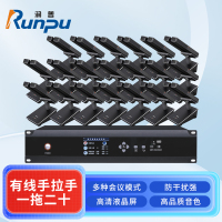 润普Runpu 会议音频扩声手拉手系统RP-YS6665S 专业有线手拉手麦克风双杆会议话筒桌面鹅颈麦一拖二十