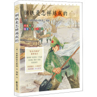 钢铁是怎样炼成的 名家公开课美绘版