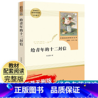 [给青年的十二封信]八年级下册 [正版]红星照耀中国昆虫记八年级上册下册名著原著完整版寂静的春天星星离我们有多远飞向太空
