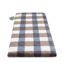 绵族世家 MZSJ-X3219 150*200cm 加厚柔软羽丝棉绗缝床垫(单位:个) 彩色