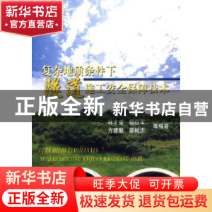 正版 复杂地质条件下隧道施工安全保障技术 林才奎 人民交通出版