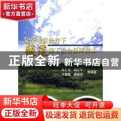 正版 复杂地质条件下隧道施工安全保障技术 林才奎 人民交通出版