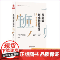 YZ正版 大夏书系 正版 从班级到成长共同体 不一样的带班策略 中小学班主任培训用书 华东师范大学出版社 97875