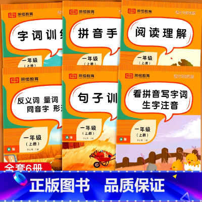[全套6册]语文专项训练 一年级上 [正版]一年级上册语文专项训练全套6册人教版拼音字词句子训练反义词量词同音字形近字阅