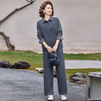 气质休闲妈妈套装中老年运动休闲两件套衣服跑步服女衬衫领春装女