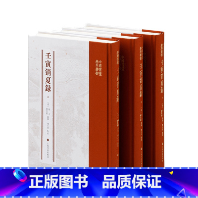 [正版]壬寅消夏录全3册 端方 缪荃孙 魏小虎 收藏鉴赏艺术 书籍书 上海书画出版社