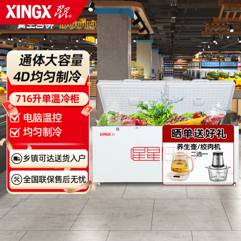 星星(XINGX)BD/BC-716E 716升 单温 冰柜 卧式冷柜 商用大冷柜 直冷顶开门 电脑控温 温度显示