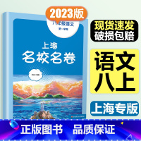 8年级上 语文 大字版 初中通用 [正版]2024春季上海名校名卷六年级七八九上册下册数学语文英语物理化学沪教版华东师大