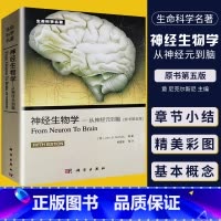 [正版] 神经生物学从神经元到脑 原书第五版 意 尼克尔斯尼,杨雄里译 生命科学 生物学心理学和医学参考书教辅书籍神经细