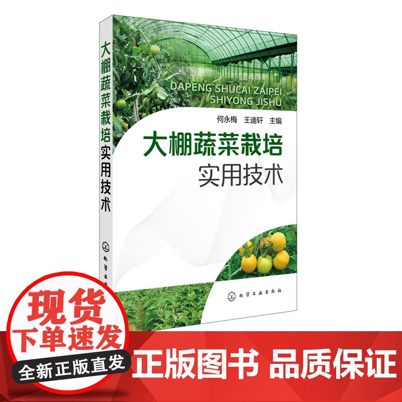 大棚蔬菜栽培实用技术 现代无公害蔬菜种植管理关键技术 农业温室大棚技术蔬菜病虫害图谱与防治书 栽培知识指南 蔬菜种植书籍