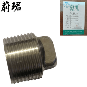 蔚珺不锈钢丝堵1.5寸DN40mm个
