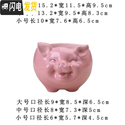 三维工匠简约卡通多肉花盆陶瓷创意个性可爱小猪客厅植物白色花盆绿萝花器 无孔水培手绘粉色小猪花盆 小花盆容器