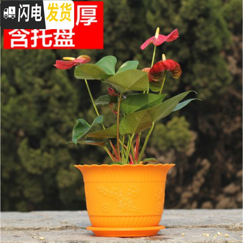 三维工匠波浪花边莲花盆塑料树脂仿陶型大花盆多肉绿萝花盆可水培送托盘 橙色[开孔留言] 4个大号+4个中号花盆容器