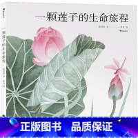 单本全册 [正版]一颗莲子的生命旅程(精)