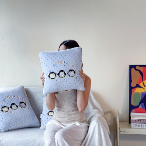 新款牛奶绒彩虹糖卡通刺绣两用车载可收纳抱枕被办公午睡靠垫