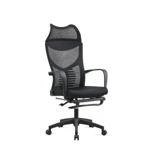 富力华驰 办公椅 520*480*1200mm 把