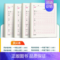[全4本]一年级上册+下册 [正版]一年级字帖练字每日30字二三四年级上册下册儿童减压小学生语文同步练字帖人教版生字描红