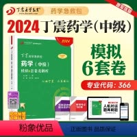 2024版 丁震药学(中级)模拟6套卷 [正版]2024新版丁震药学 药师考试模拟6套卷及解析 药学初级药师药士中级药师