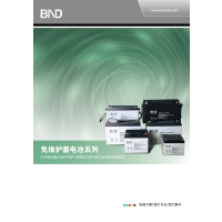 百纳德/bnd UPS电池 NP12-38