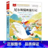 尼尔斯骑鹅旅行记 彩图注音版 [正版]尼尔斯骑鹅旅行记 彩图注音版 世界名著 小学语文课外阅读经典丛书 大语文系列